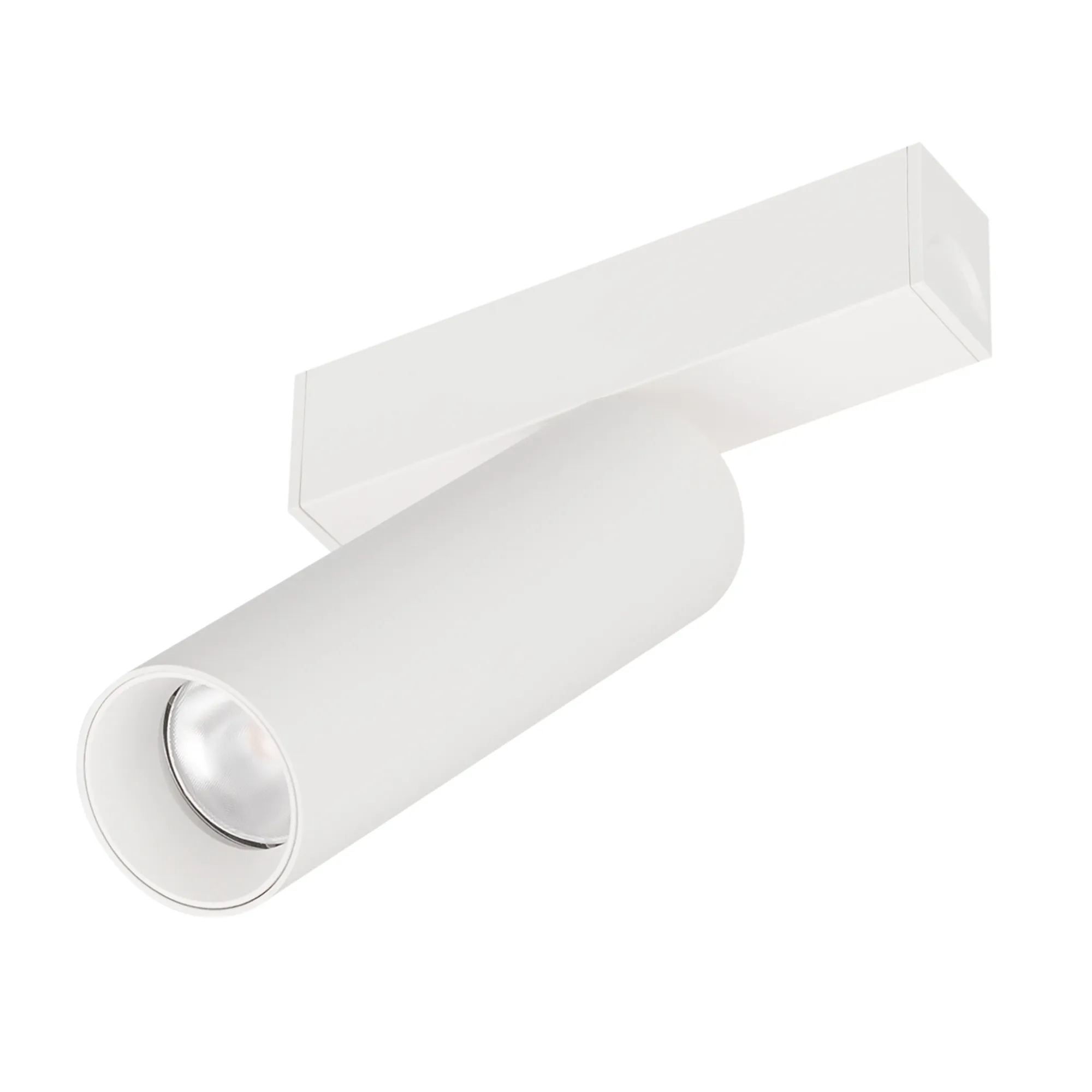 Светильник MAG-SPOT-25-R120-12W Day4000 (WH, 30 deg, 24V) (Arlight, IP20 Металл, 3 года)